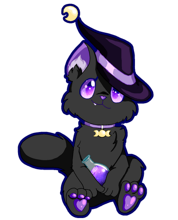 witch cat